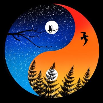 Татуировка на ин-ян