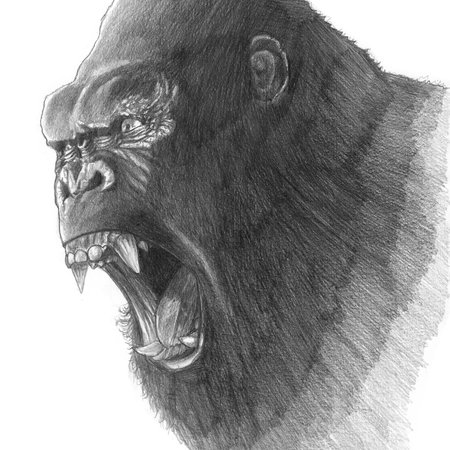 горила промокод